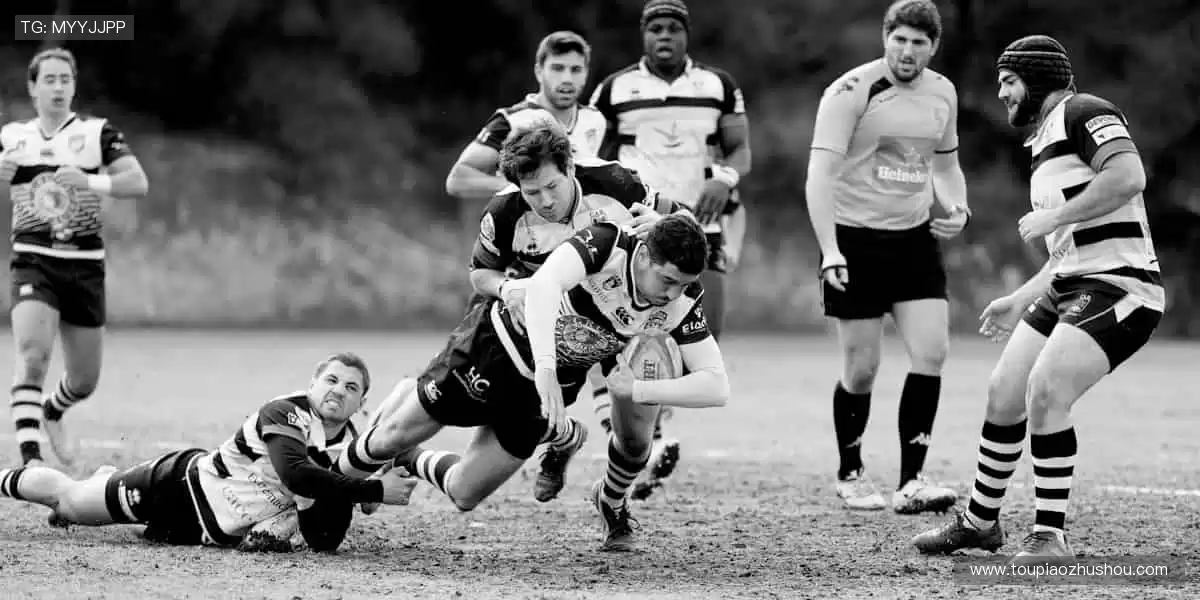 🏆【限量首发】冠军同款，专属你的荣耀珍藏！